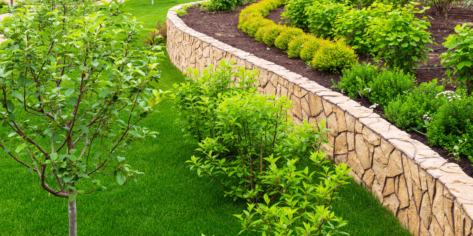 Premium Turf Lawn Care and Maintenance, LLC