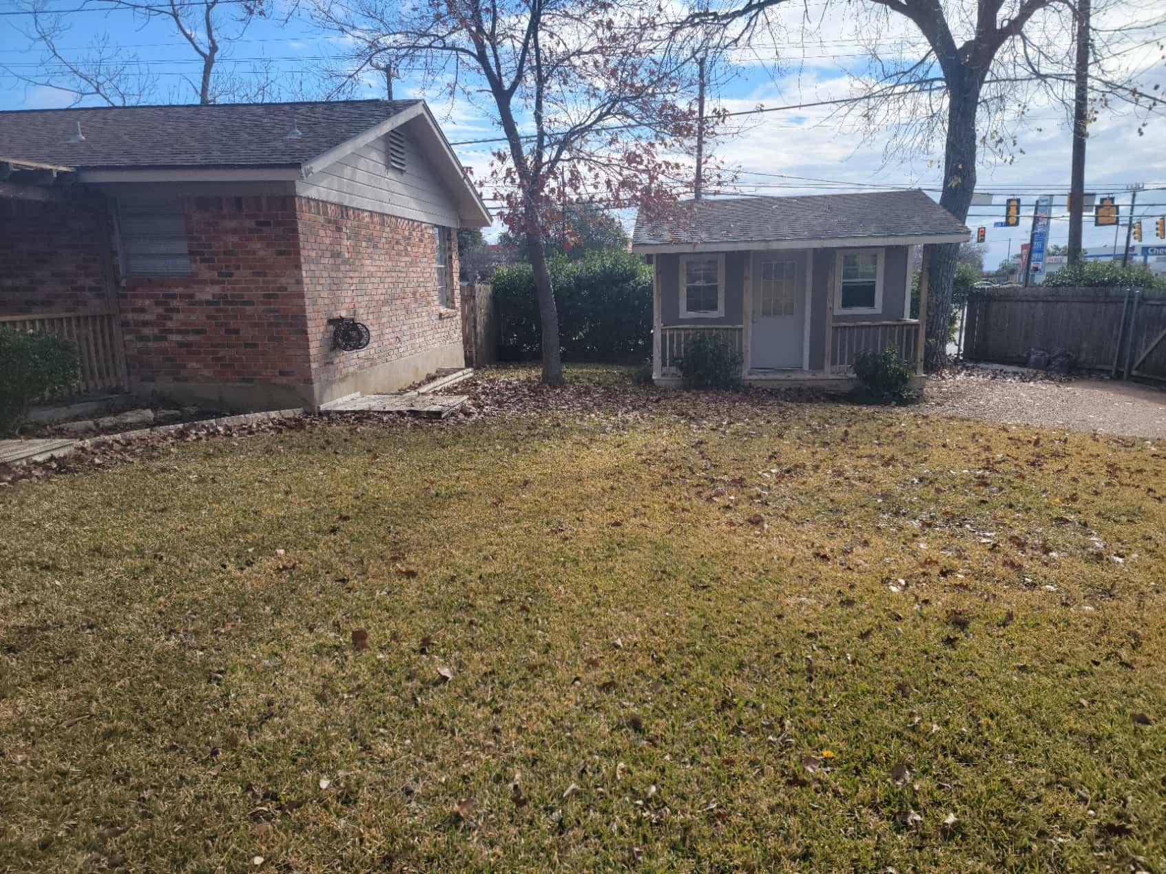 lawn full of leaves