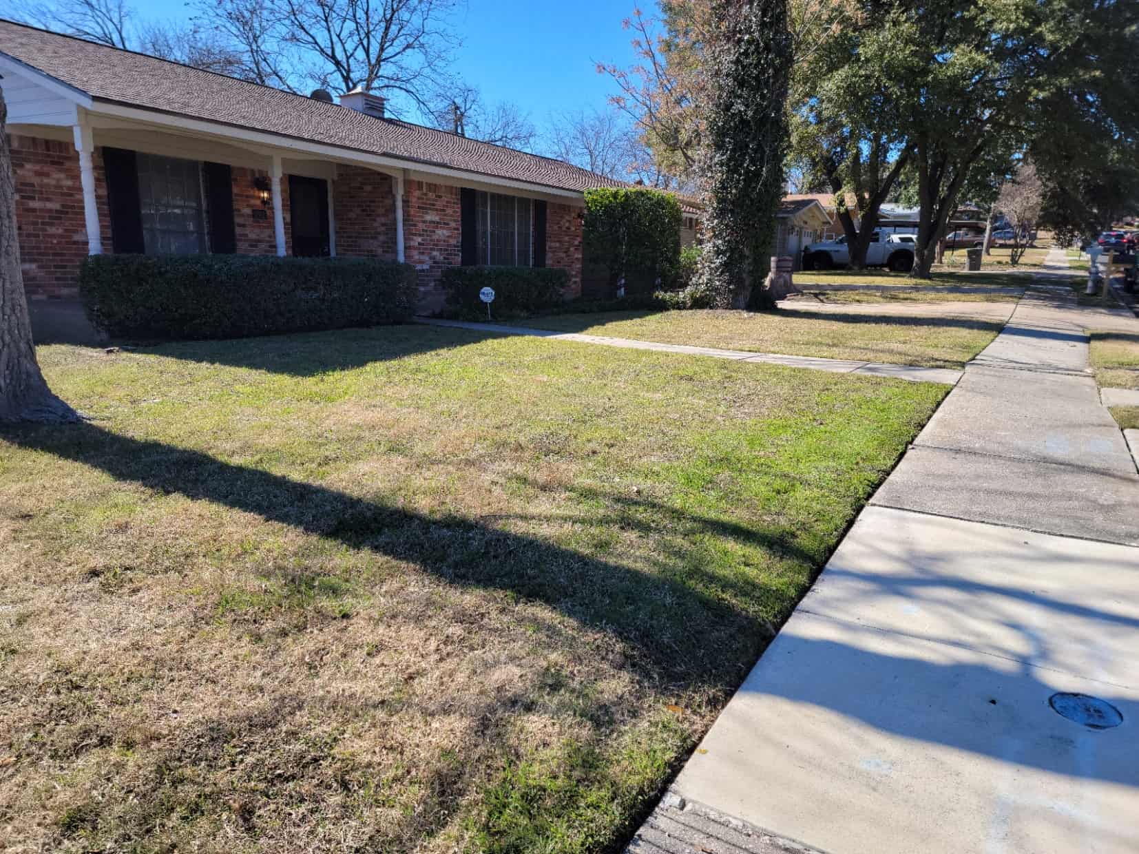 A clean lawn