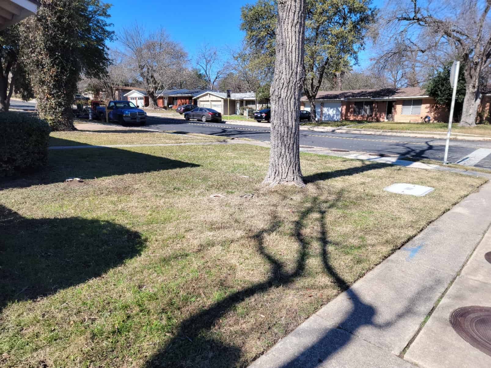 serviced lawn