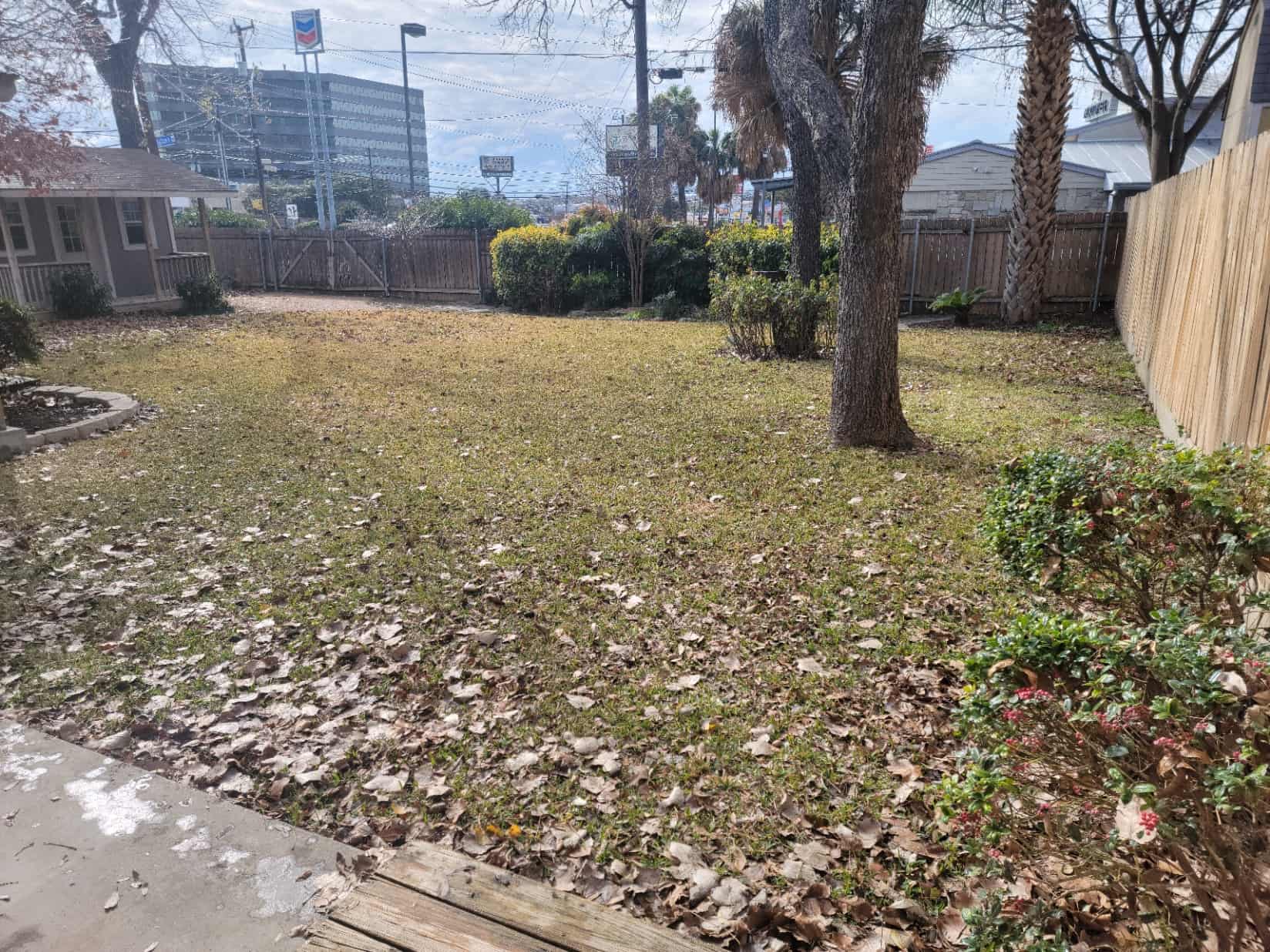 yard partially cleaned